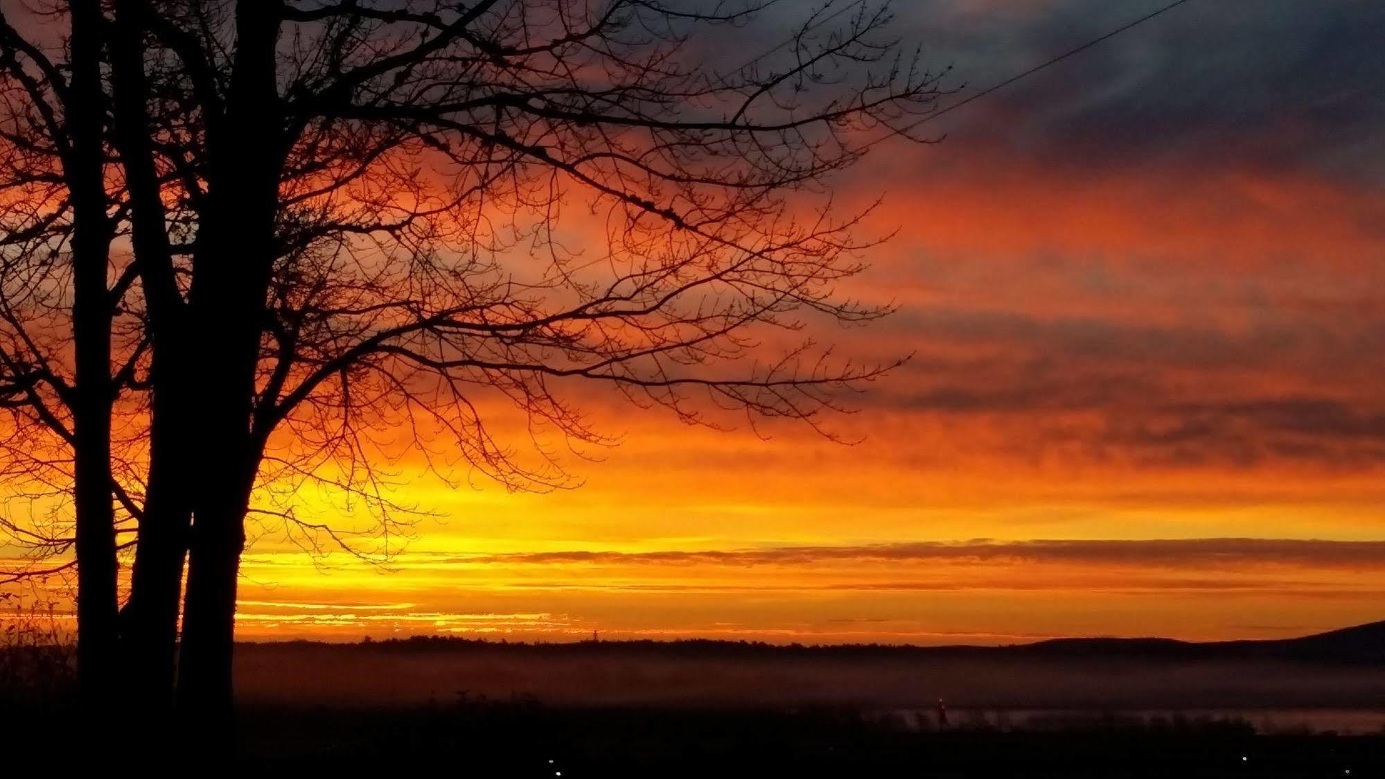 Acadia Sunrise Motel Trenton Zewnętrze zdjęcie